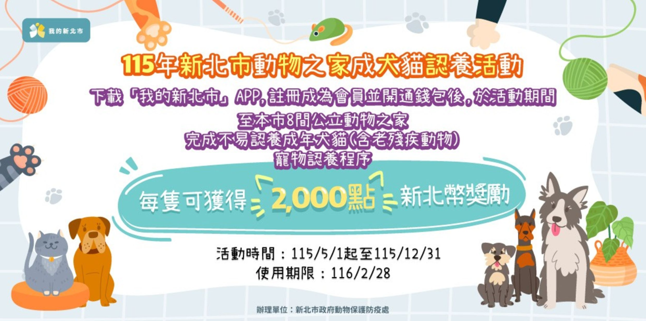 動保處推出年老殘疾動物新北幣2000元認養優惠