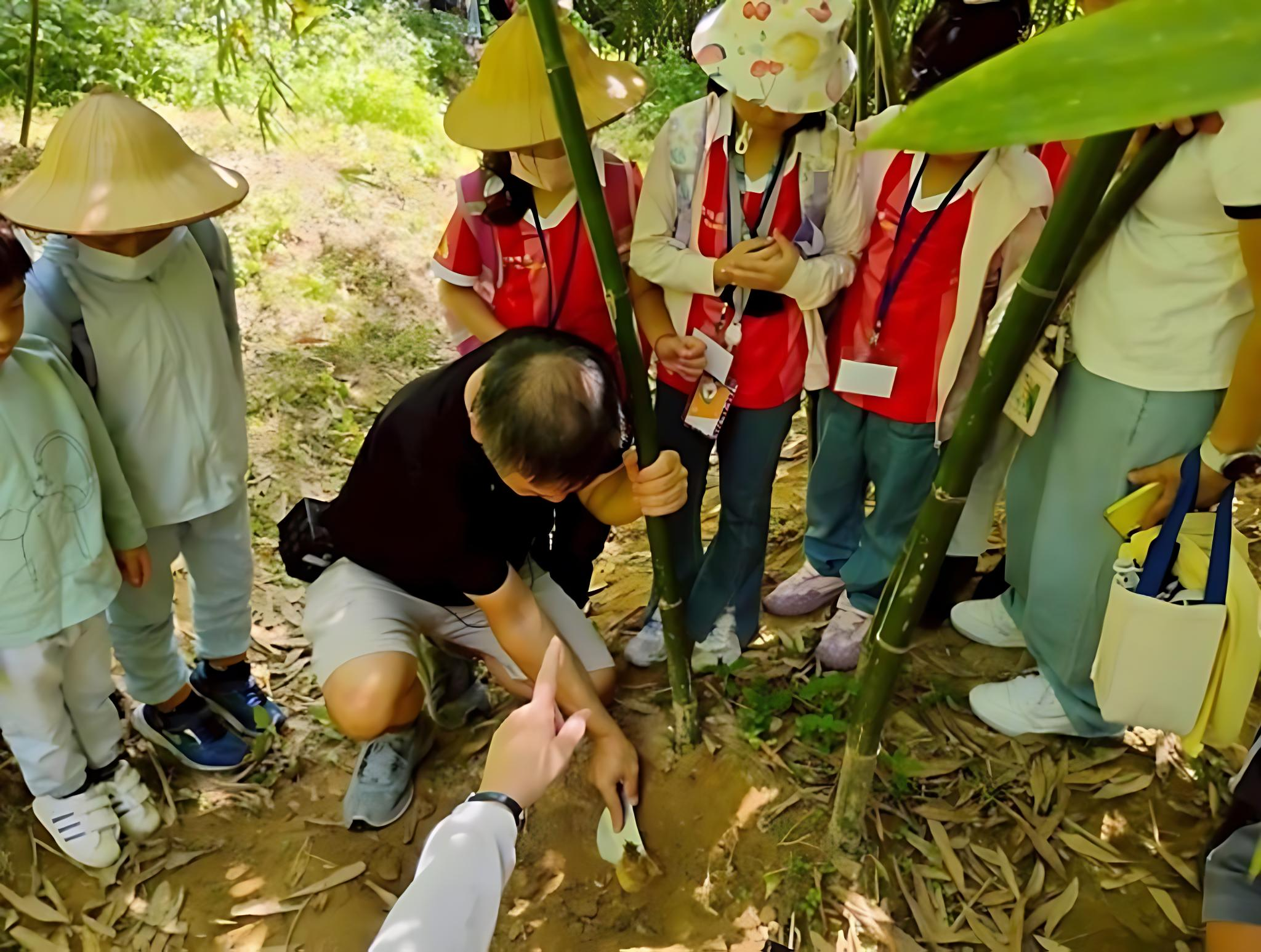 觀音山食農教育體驗