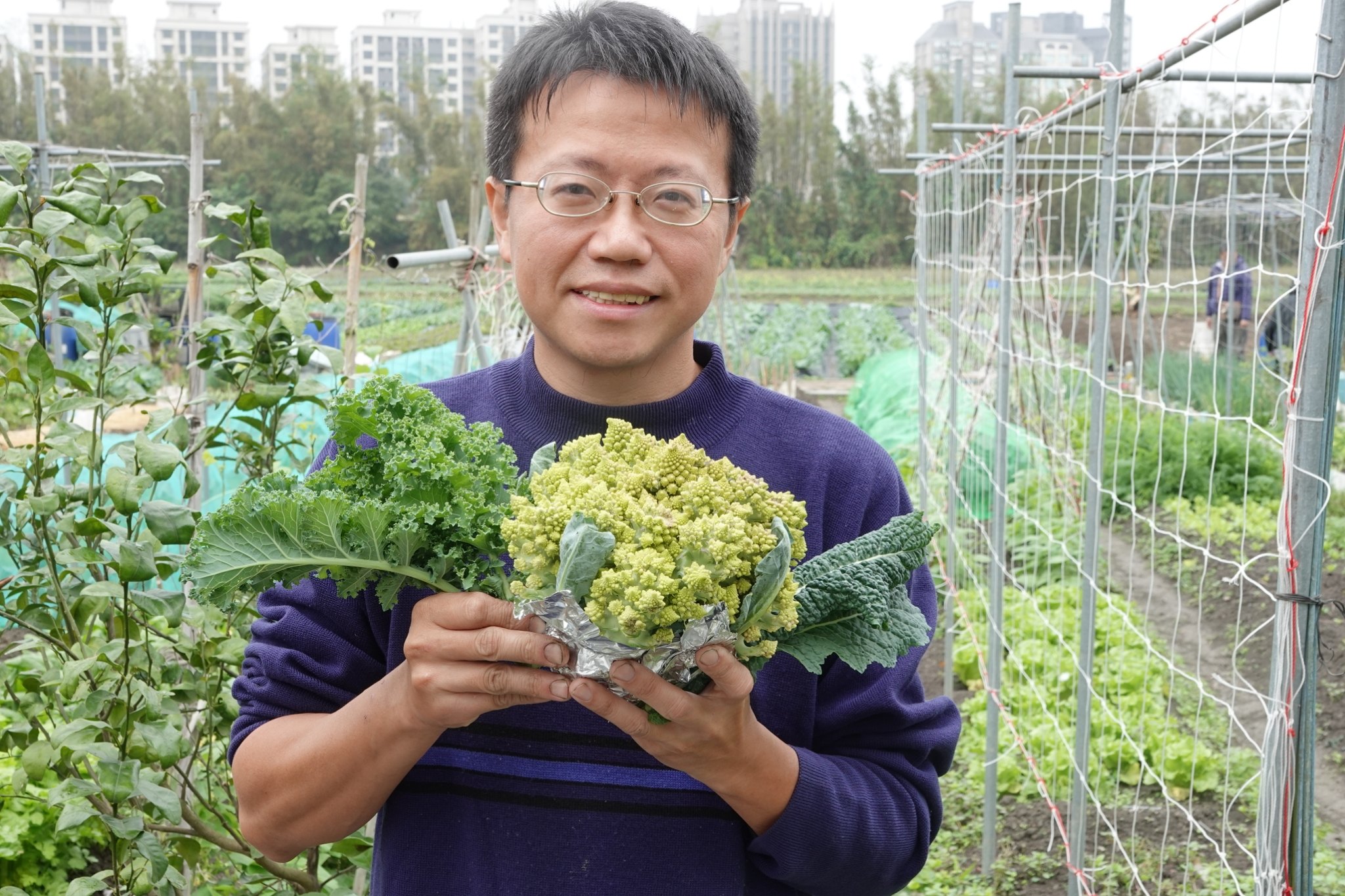 秦家圓農場種植各種有機蔬菜，並提供食農教育讓民眾體驗有機農業