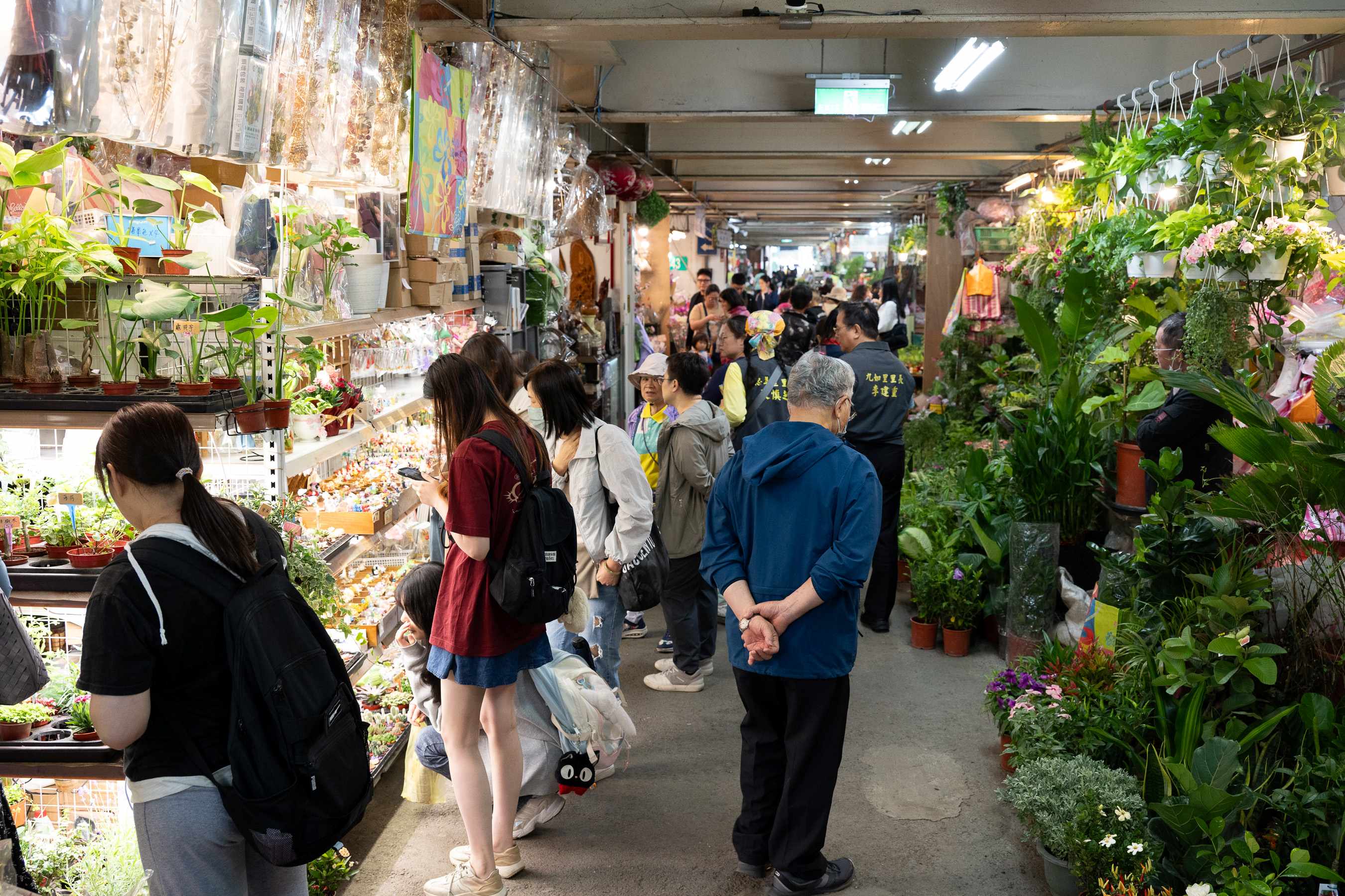 市府持續推動花市轉型，提供兼具五感體驗與特色好物