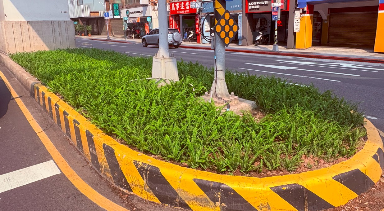 板橋文化路1