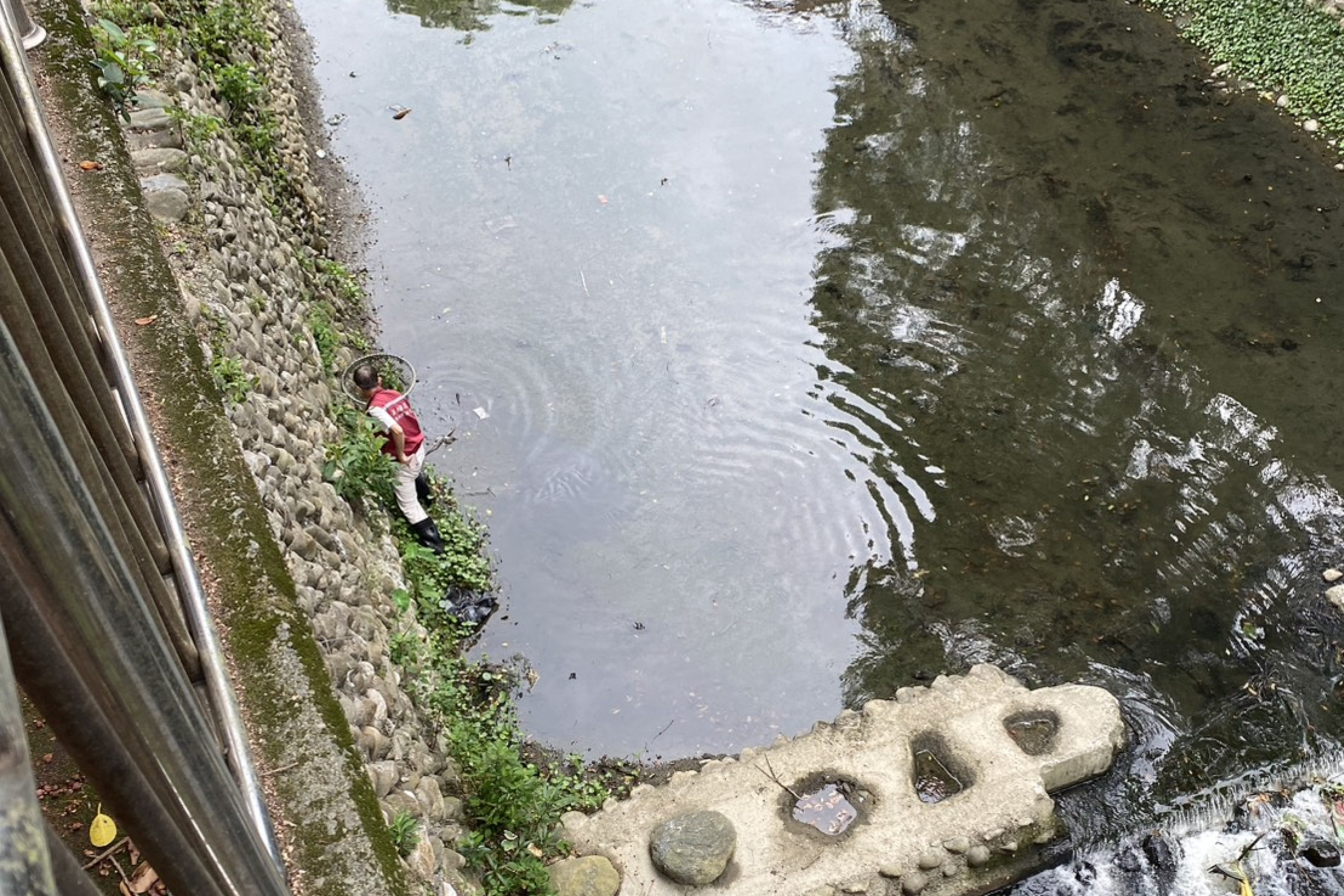 動保員移動到幼犬位置，在動保員安撫下順利配合救援