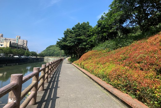  圖4. 瑪鋉溪畔親水步道水岸生態。
