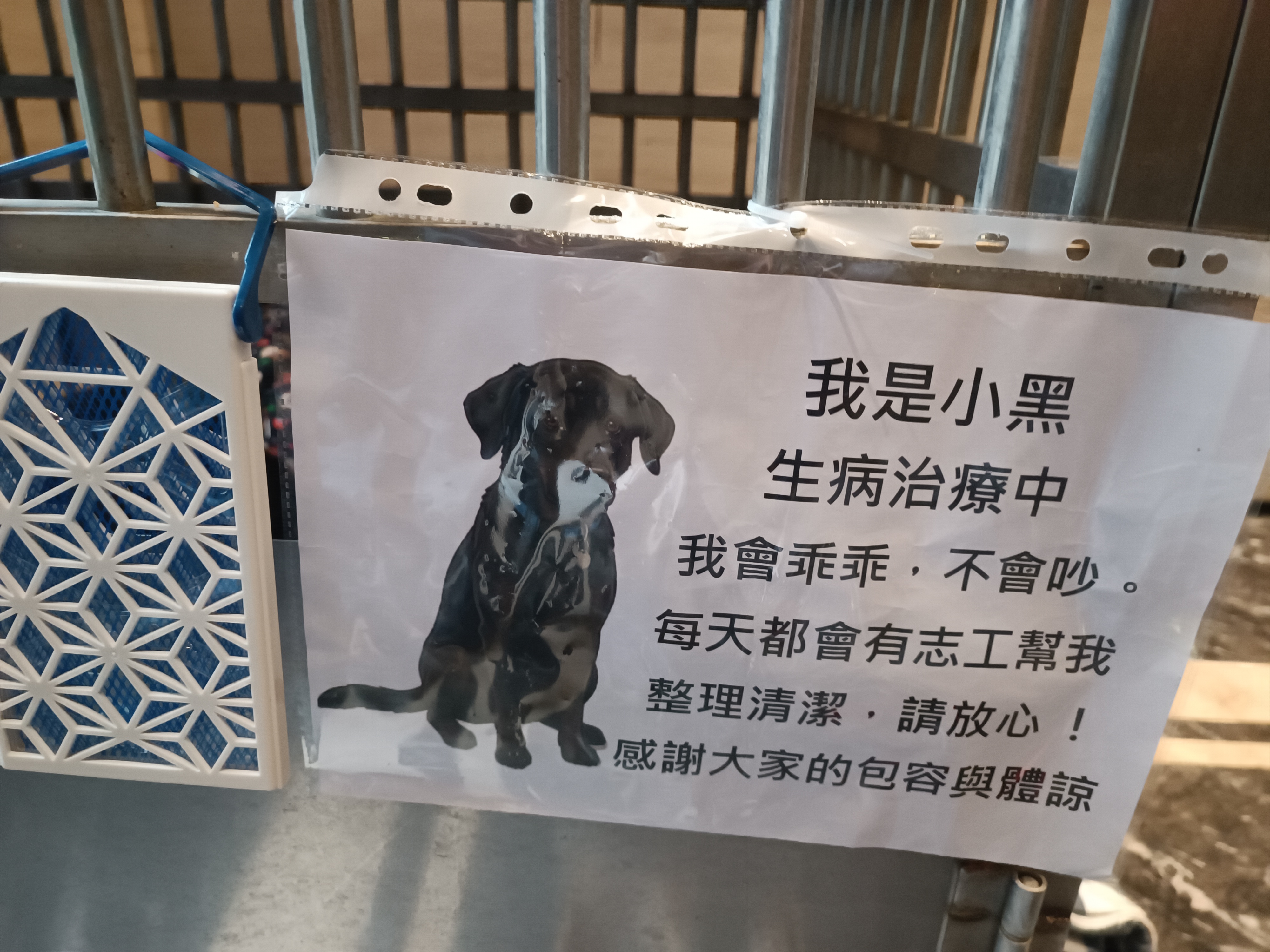  住戶為小黑設置標語
