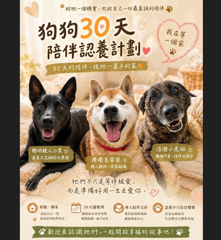 八里動物之家推動「30天陪伴認養計畫」