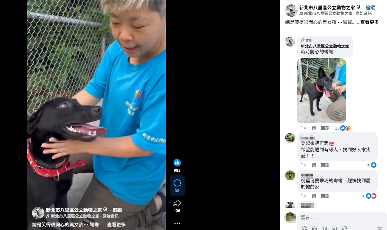 八里官方臉書介紹毛寶