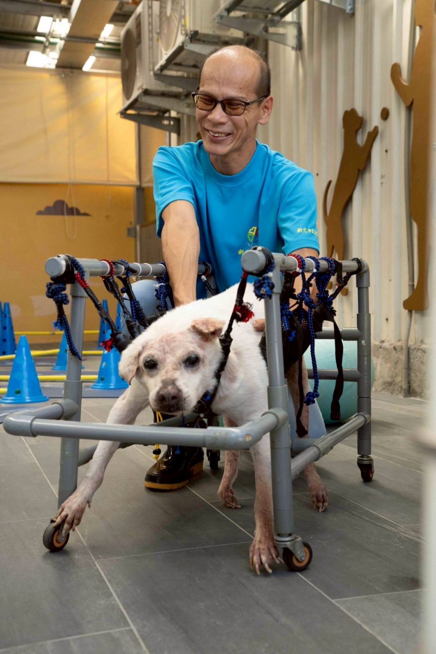  動保員余元鴻製作水管輪椅供癱瘓犬使用