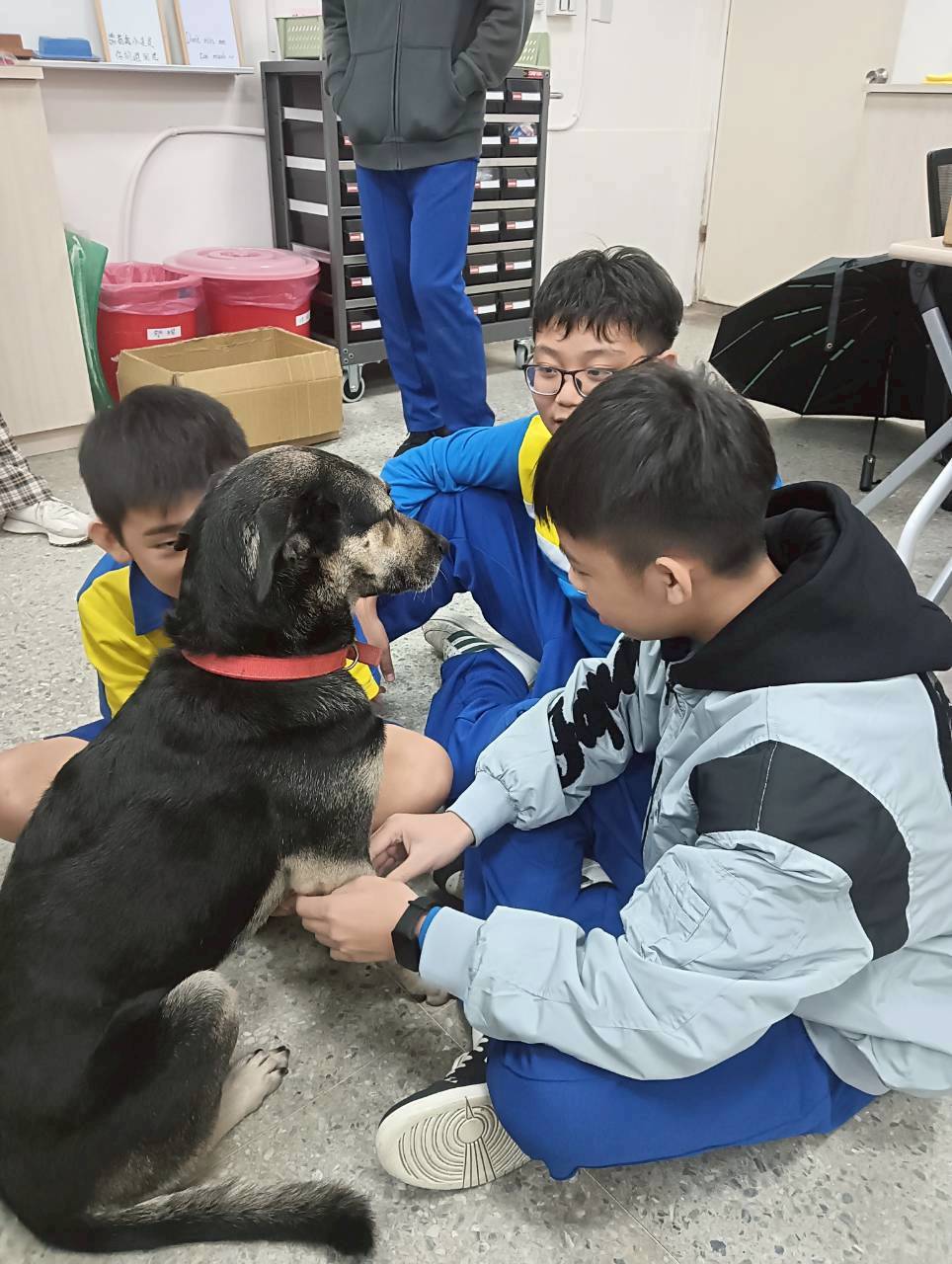 特殊教育需求的學生真實互動