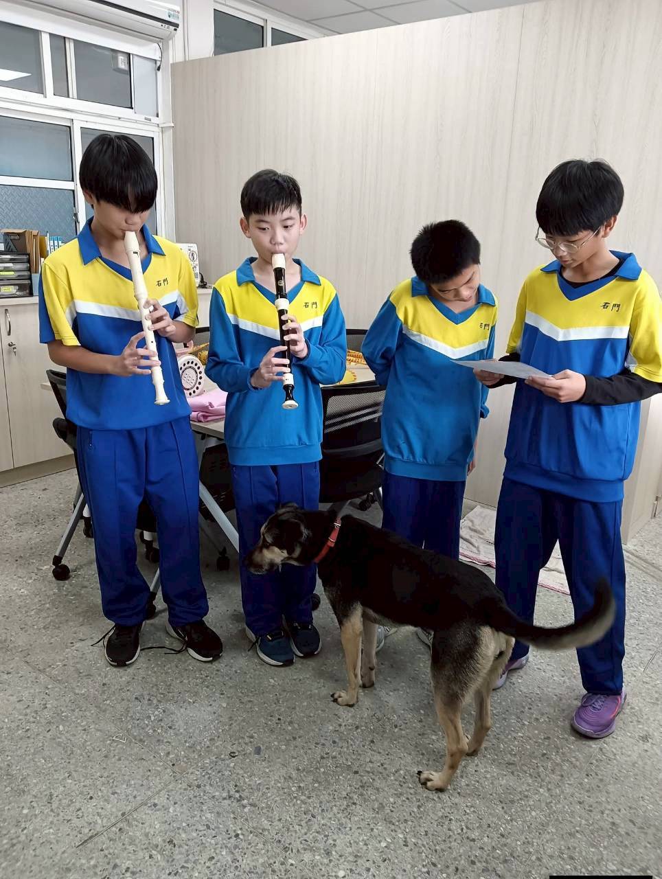 聖誕節睿睿隨這音樂熱情的猛搖尾巴