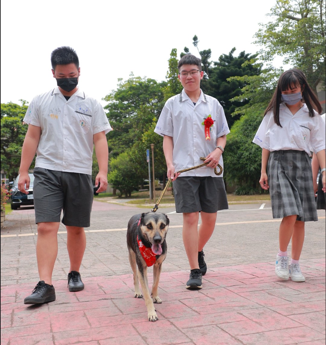 睿睿陪伴二年多哥哥、姐姐畢業典禮