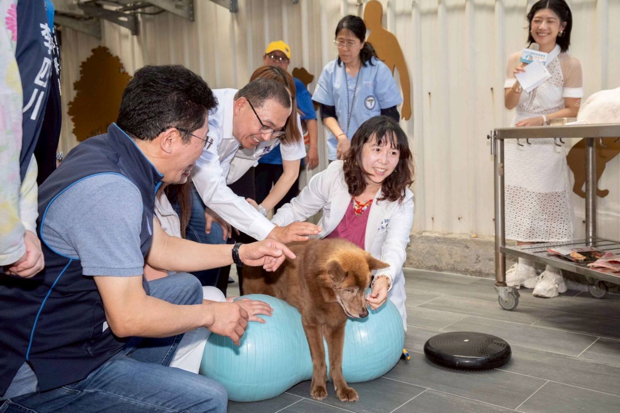  市長與獸醫師幫長照犬進行復健