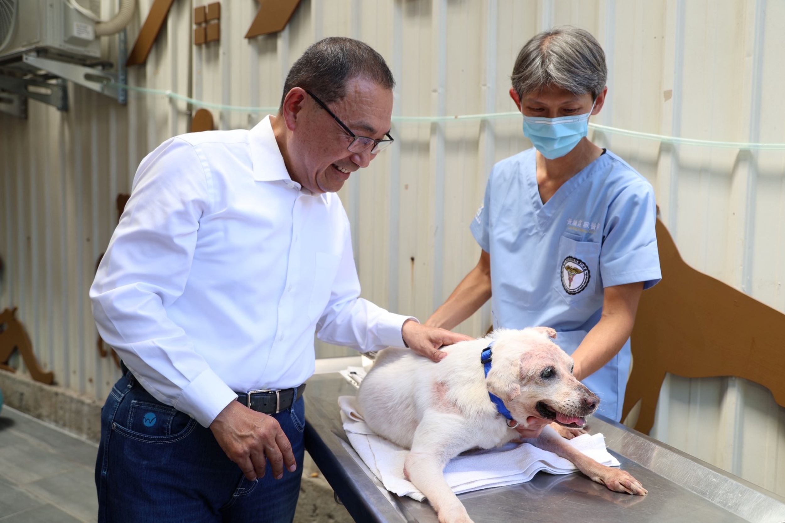  獸醫師黃繼霆幫癱瘓犬針灸