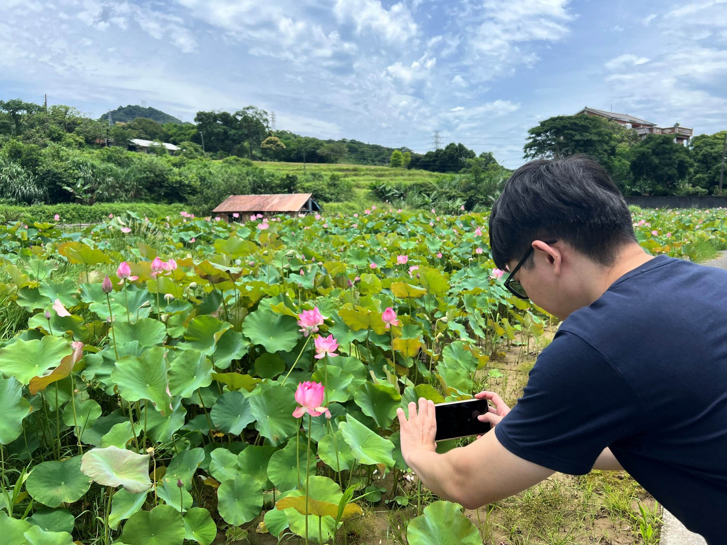 民眾蓮花田賞蓮拍照