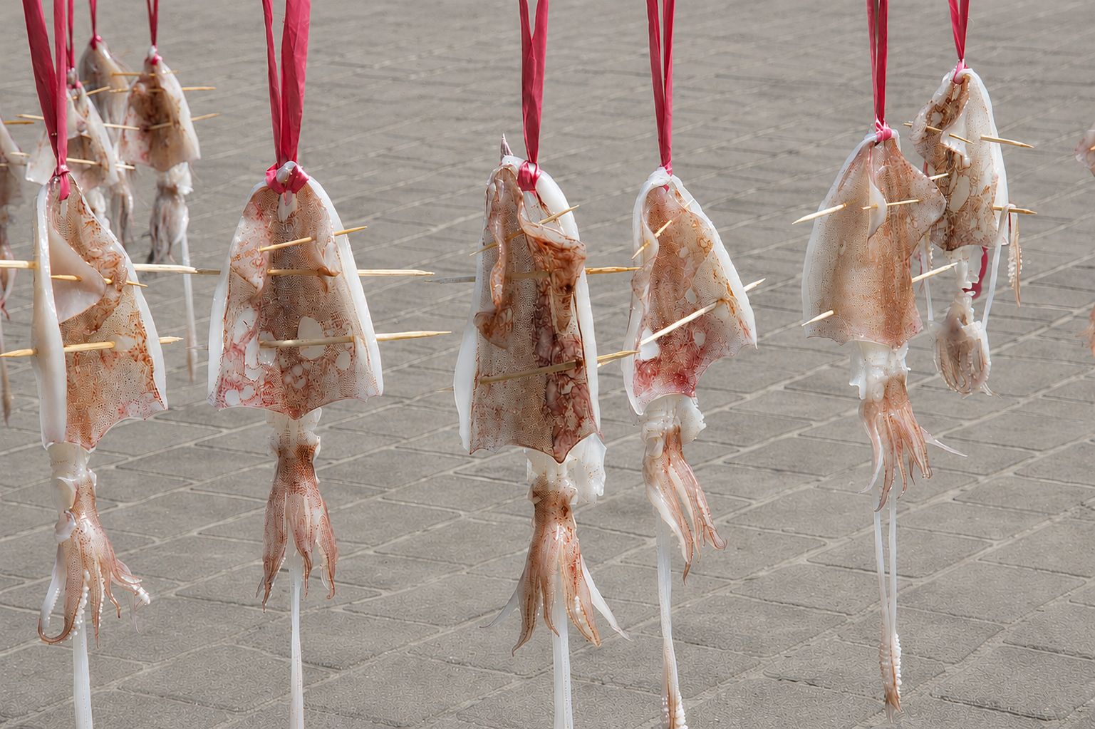 小卷一夜干體驗活動，推廣食魚教育與在地漁產特色