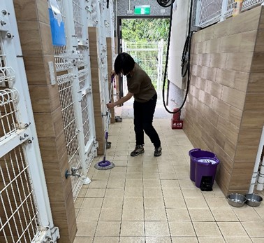 每週一為動物之家消毒日