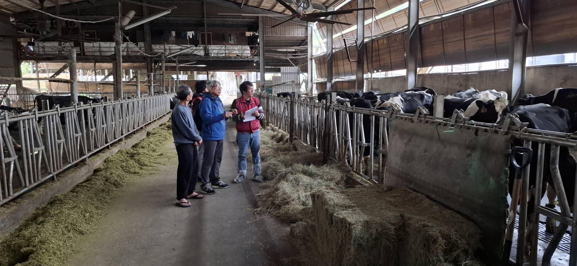  提供完整飼養管理及防疫建議