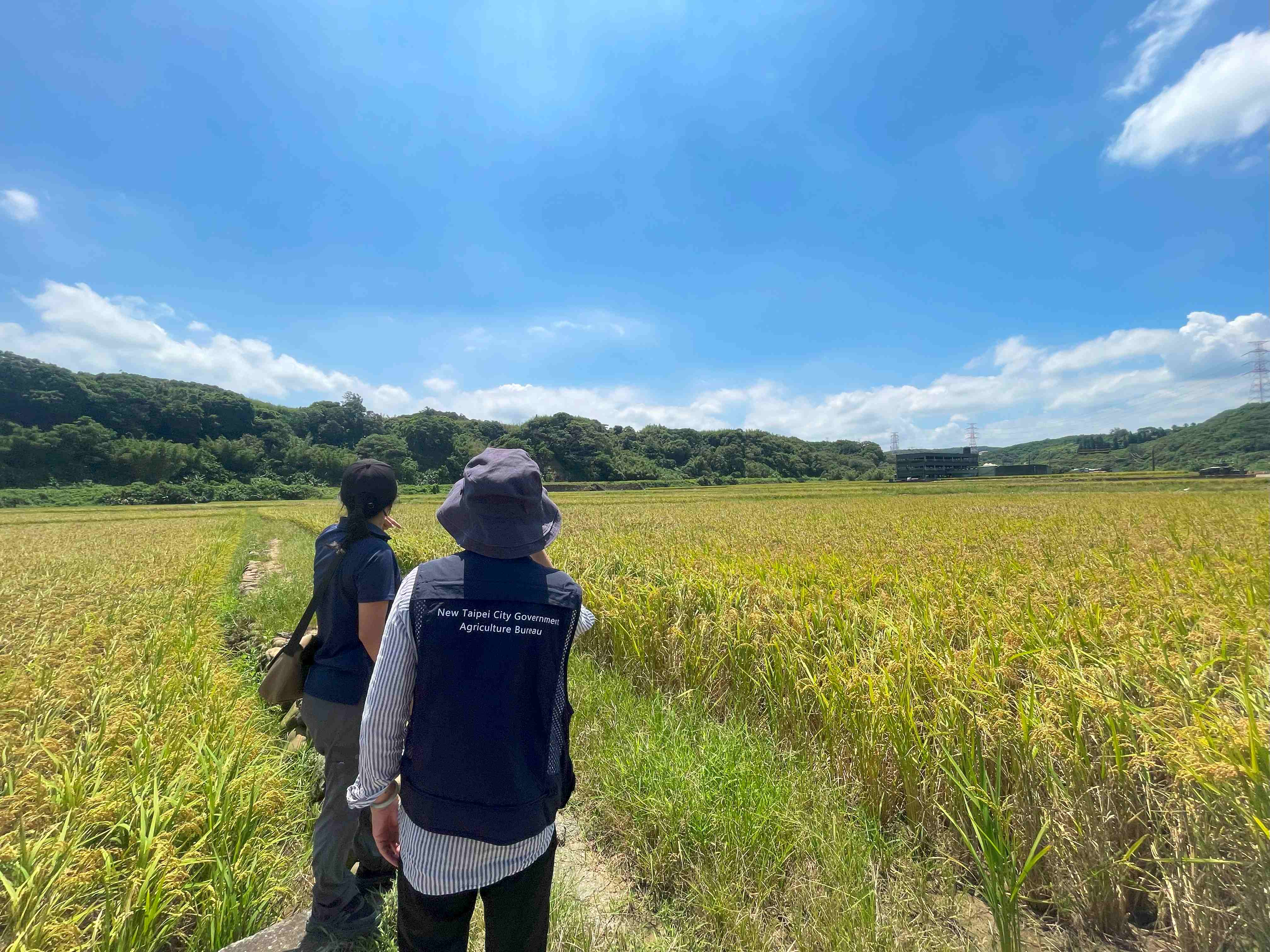 勘災小組赴受損田區進行勘災02