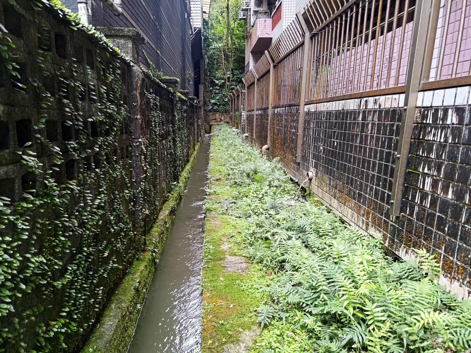排水溝埋設滲流管使雨水入滲補注地下水資源