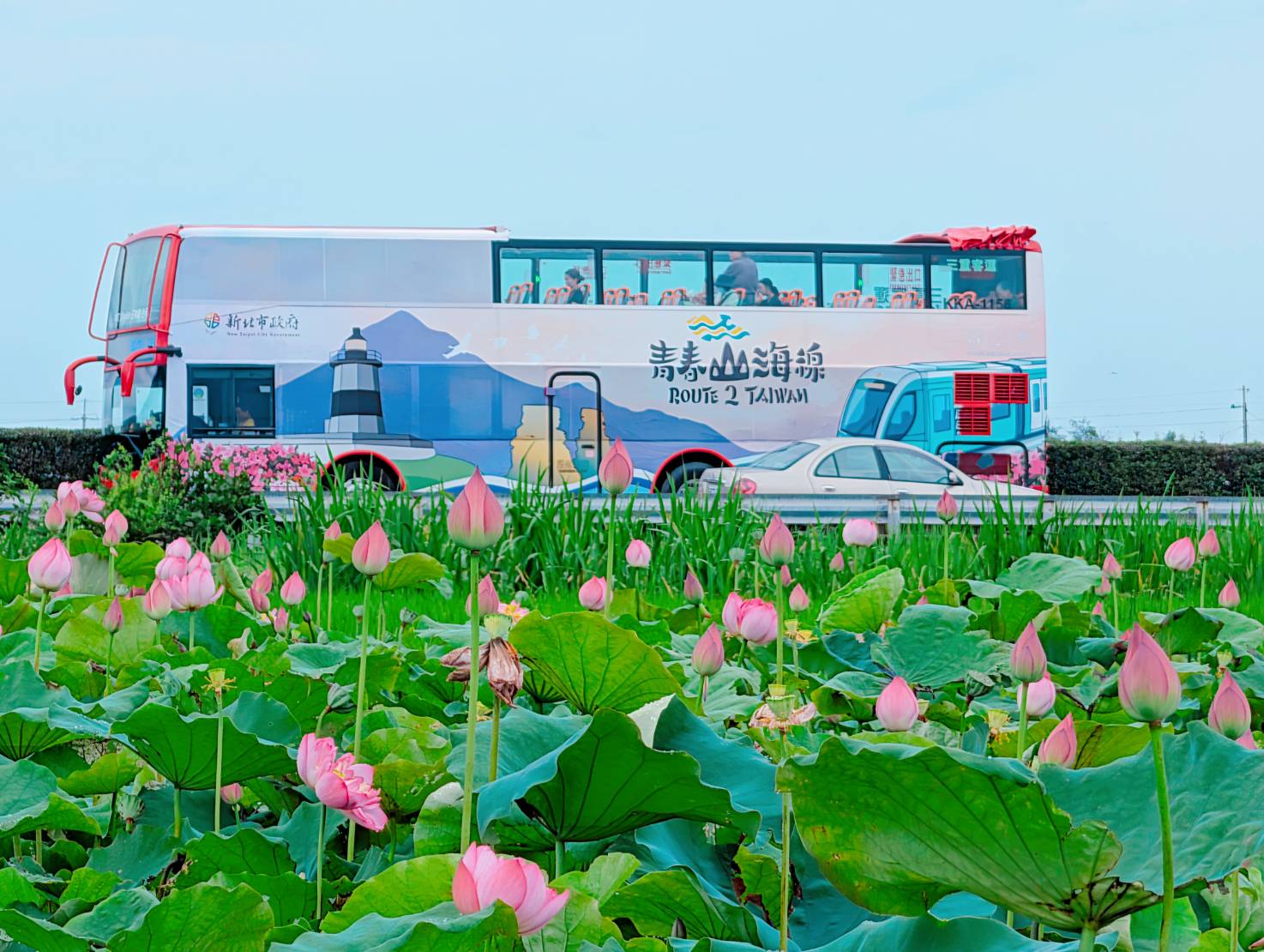 彩繪車身呈現北海岸意象，與盛開的蓮花田相映成趣，展現低碳旅遊的夏日活力。