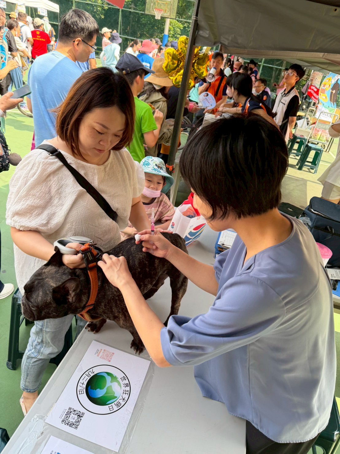 寵物應每年施打狂犬病疫苗。