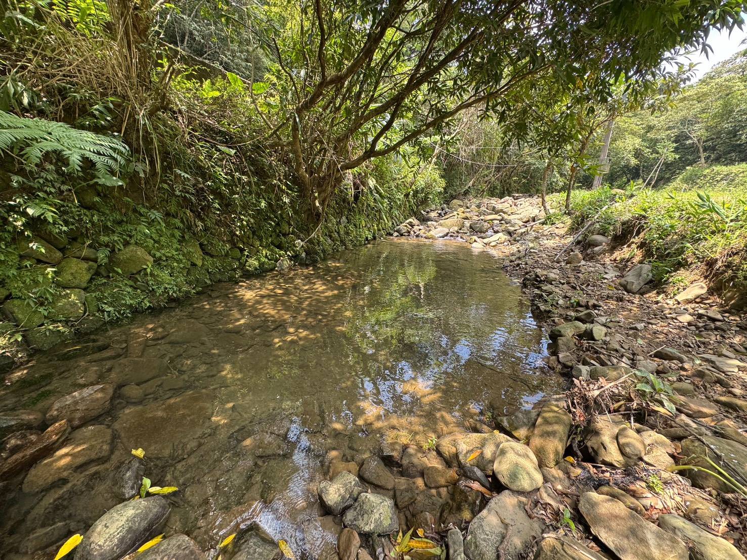 北勢溪陽明山吻鰕虎棲地圖