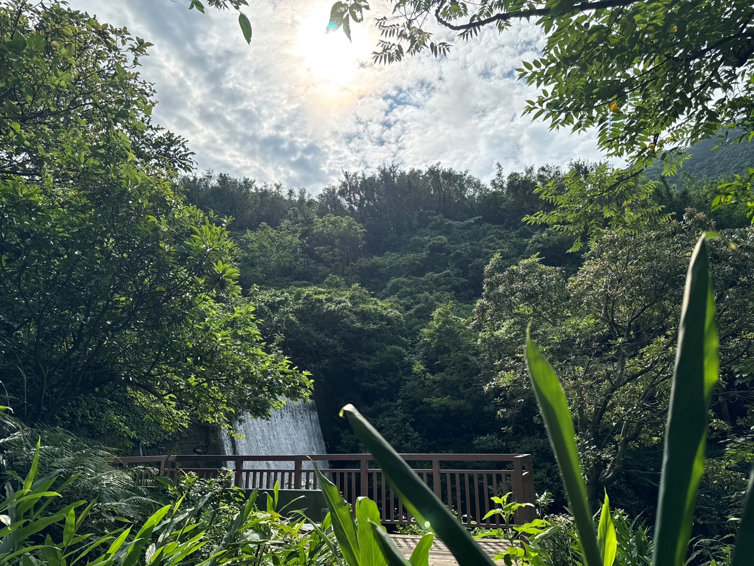 園內瀑布水勢磅礡，搭配巨石、蕨類與雲霧，是金瓜石獨特的山林療癒景觀