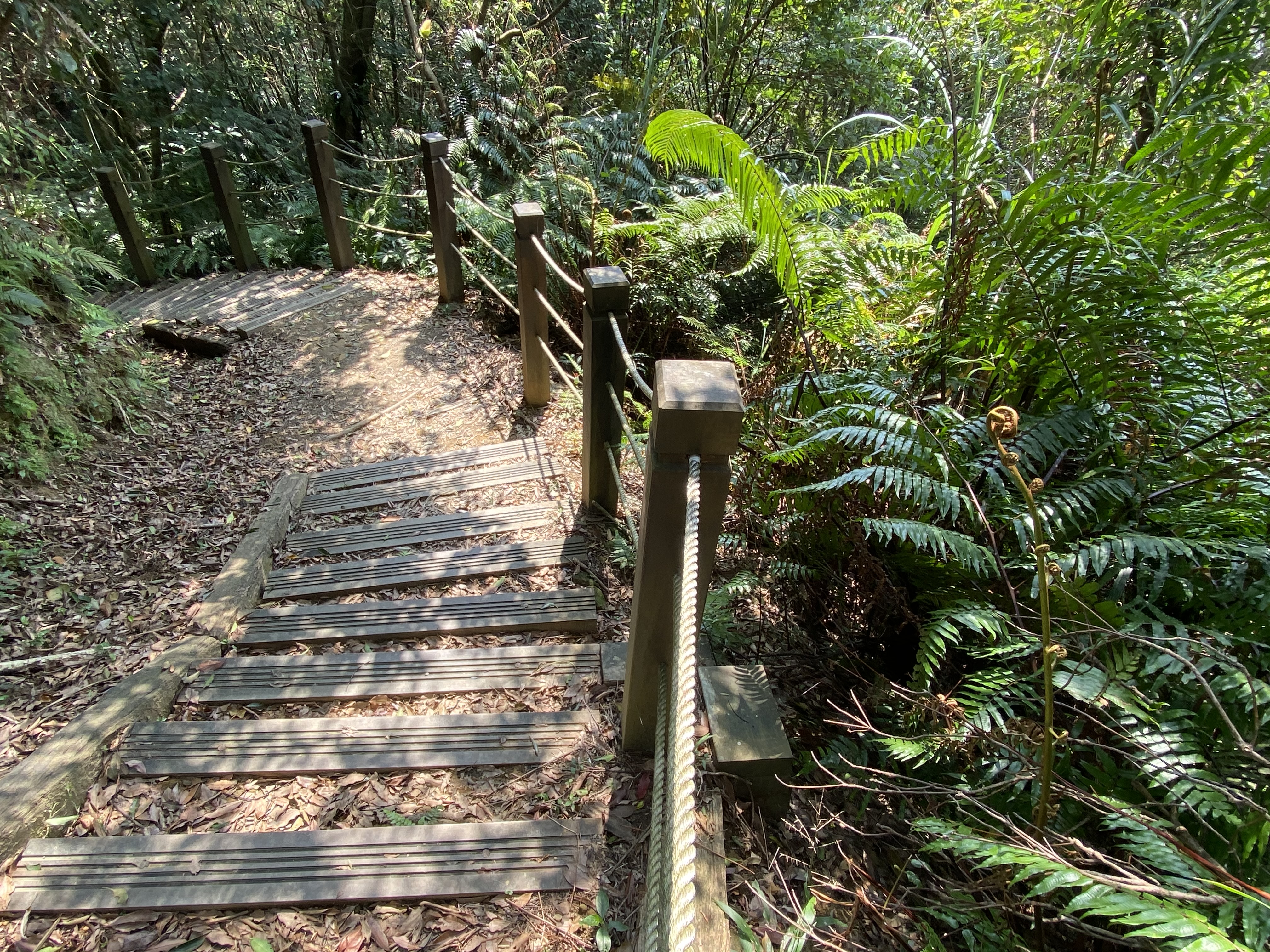  登頂一等三角點！9.5土庫岳古道實務教學，解鎖離線地圖定位技巧