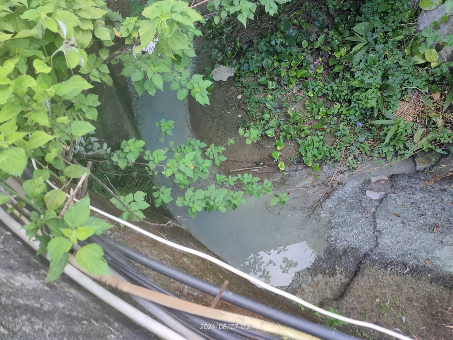 五股坑溪坑溪遭油漆廢水污染呈白色混濁狀.jpg