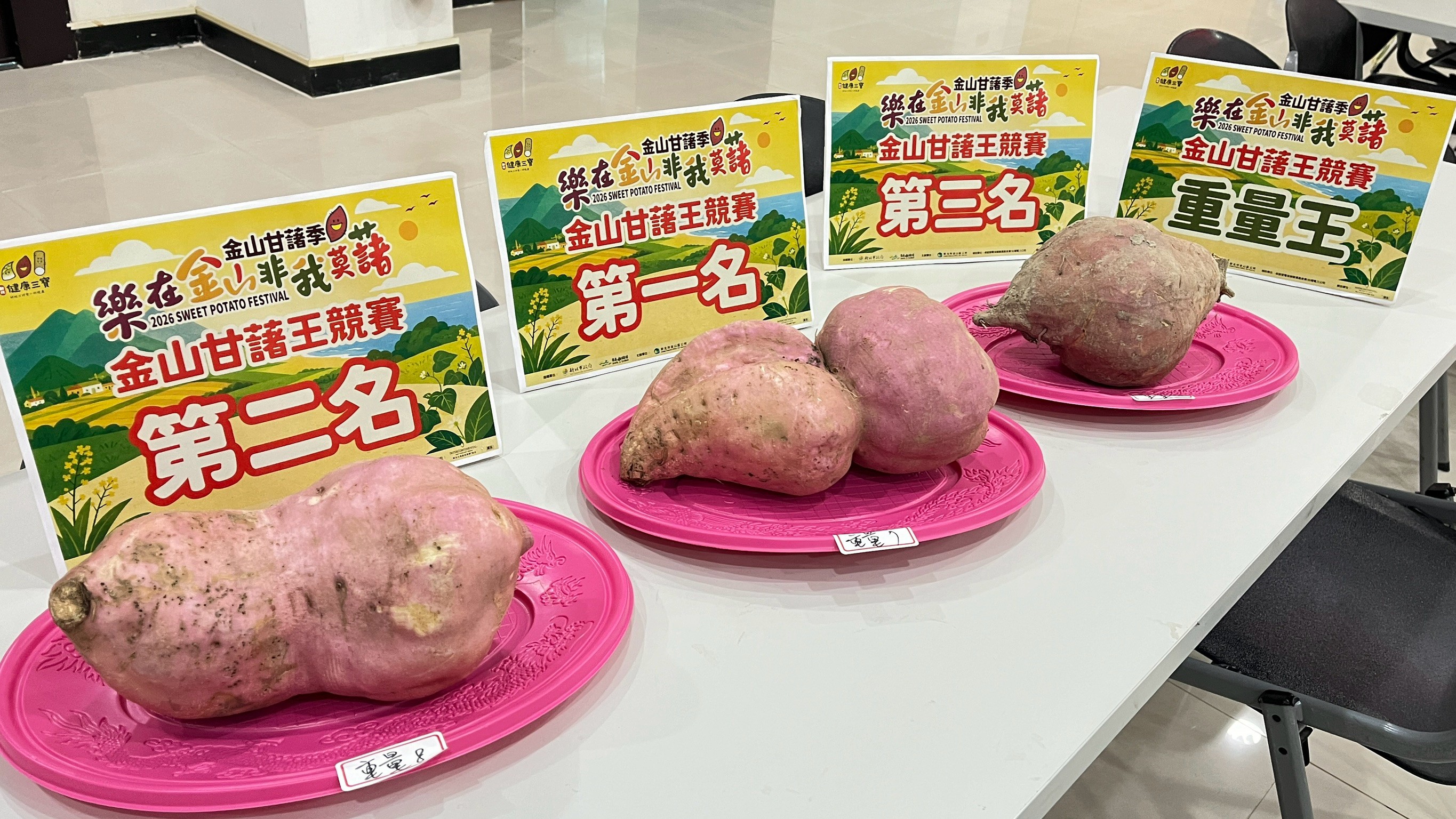 第十一屆金山甘藷重量王由劉進士以重達2.53公斤的巨無霸甘藷奪得冠軍！