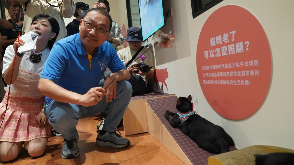  市長至實體居家內和貓咪互動，介紹貓咪的所有用品設備