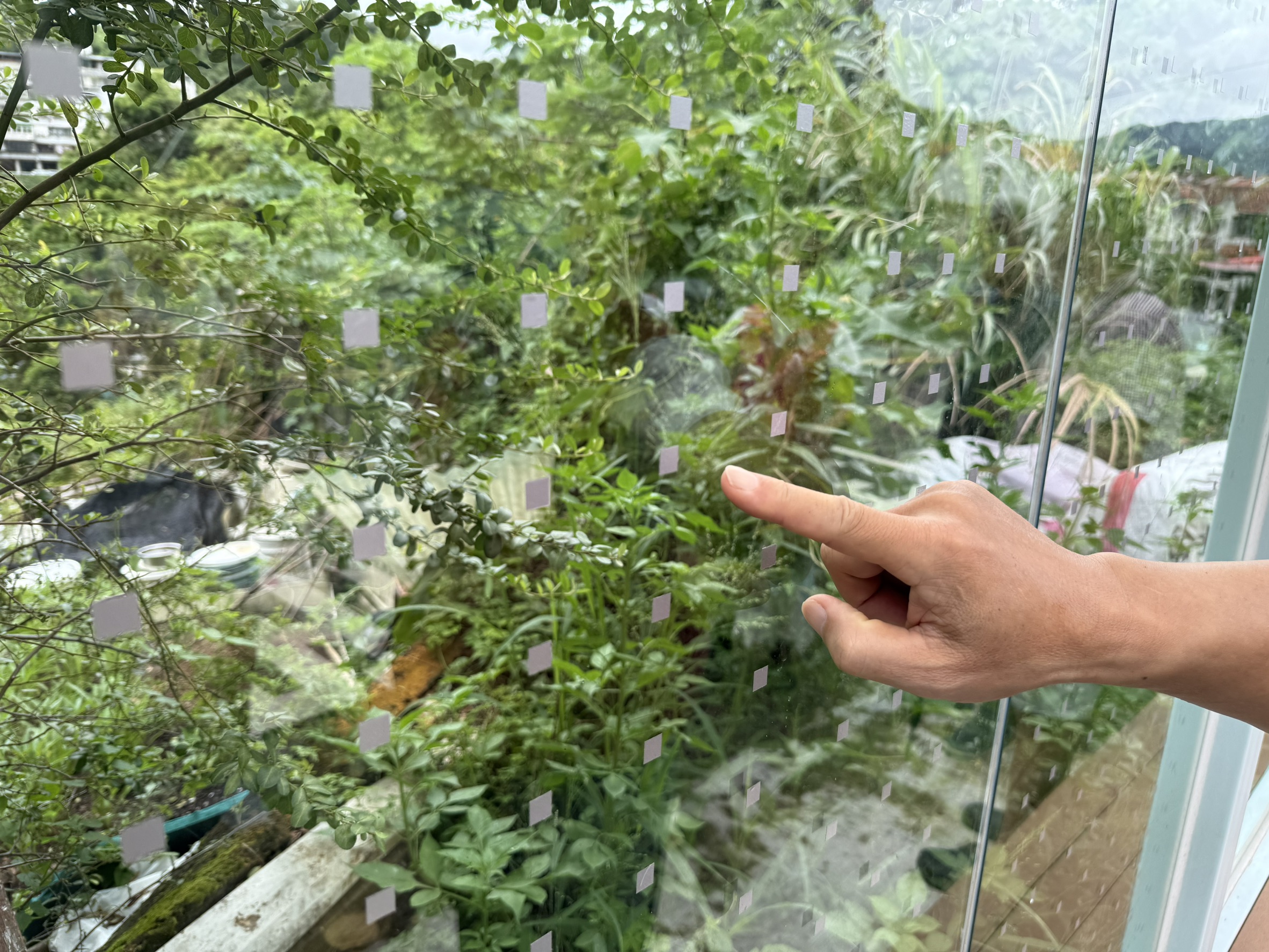  符合間距的點陣或圖樣完整覆蓋玻璃，才能有效降低撞擊風險。