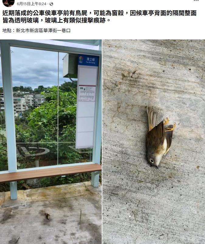 預計改善之潭之鄉公車亭及相關窗殺貼文。