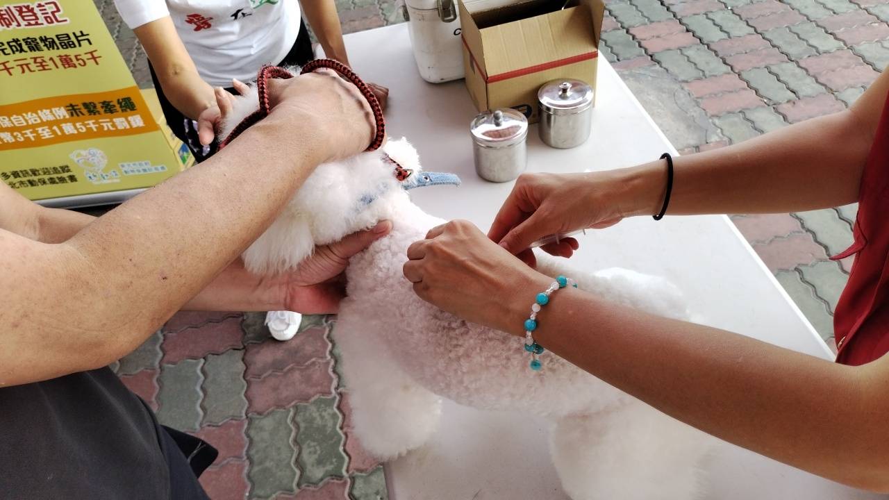 飼主應每年帶飼犬施打狂犬病疫苗