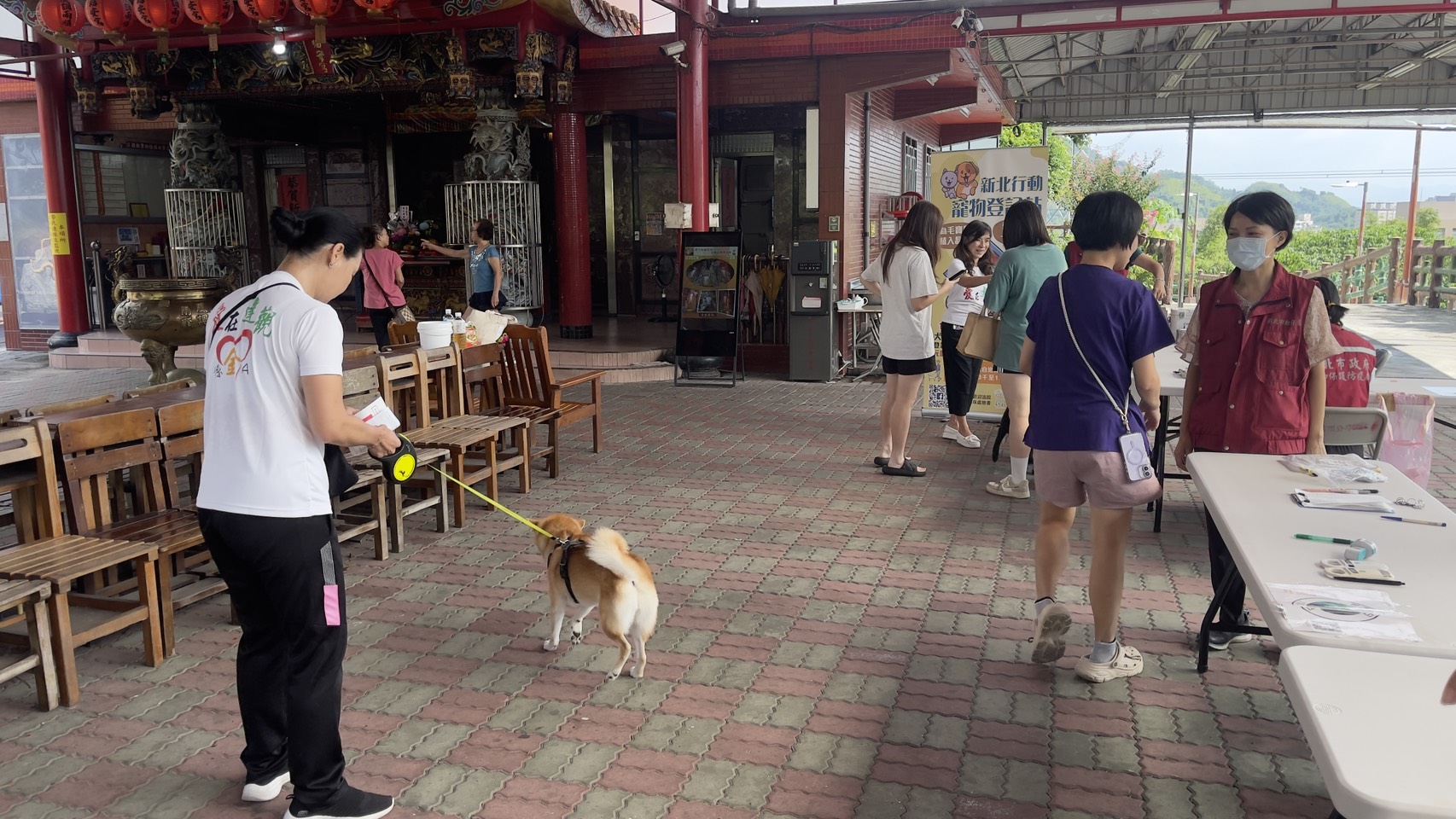 飼主在公共場所應管控所飼犬隻、貓隻