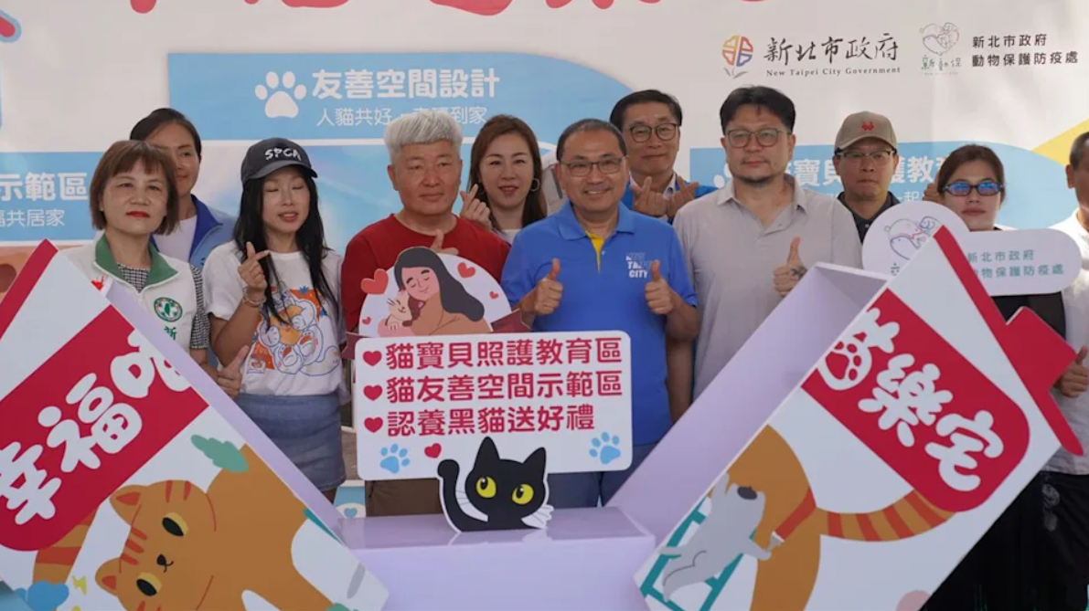  認養黑成貓送一年免費飼料