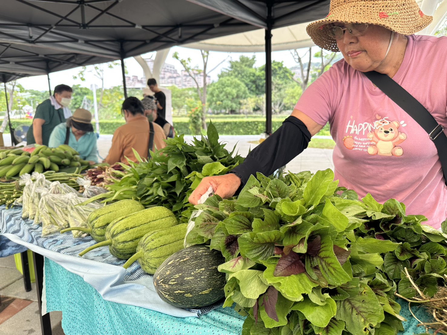▲Lipahak三峽野菜農園新鮮蔬菜，族人親手耕作，呈現土地滋養的自然風味。 (圖/新北市政府原民局提供) 