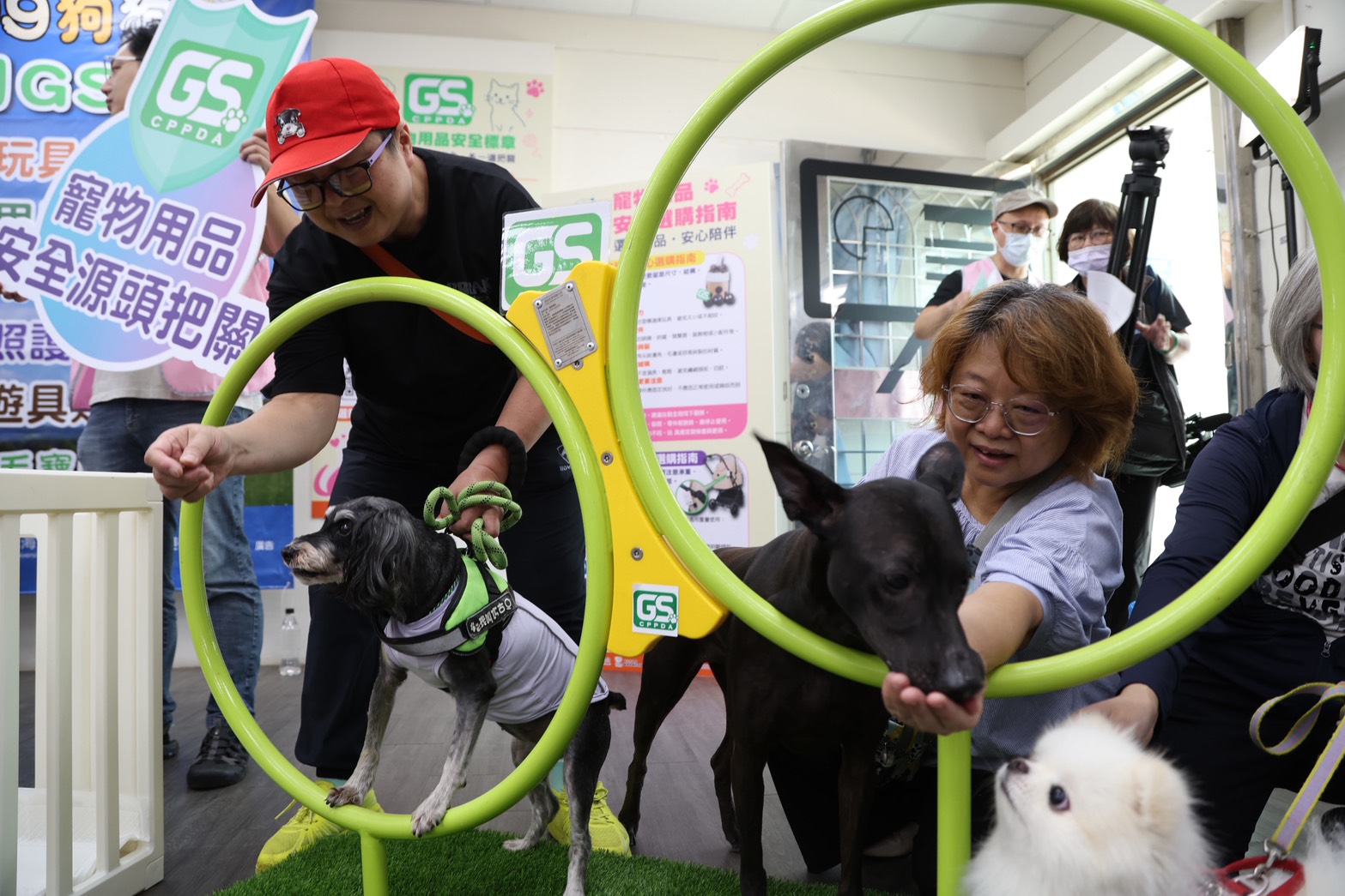 飼主跟寵物進行GS寵物用品安全標章認證之鑽圈遊具活動