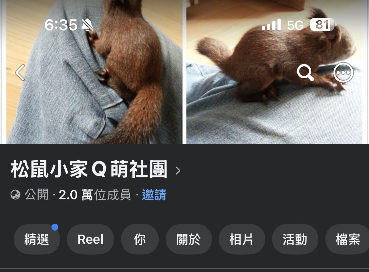 私養臺灣原生松鼠臉書社團