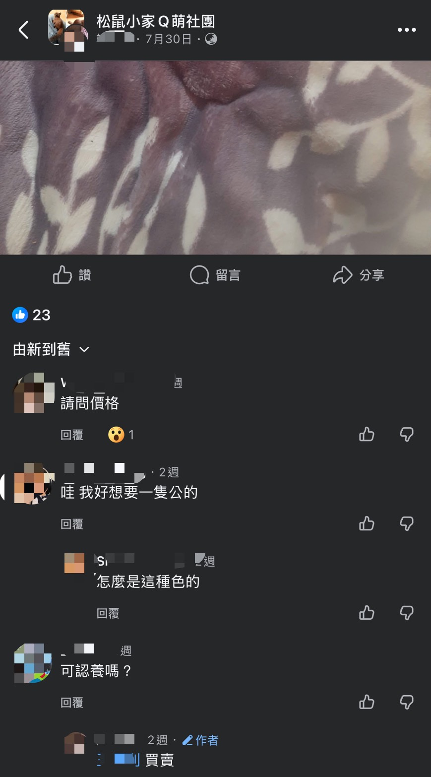 社團內松鼠買賣留言