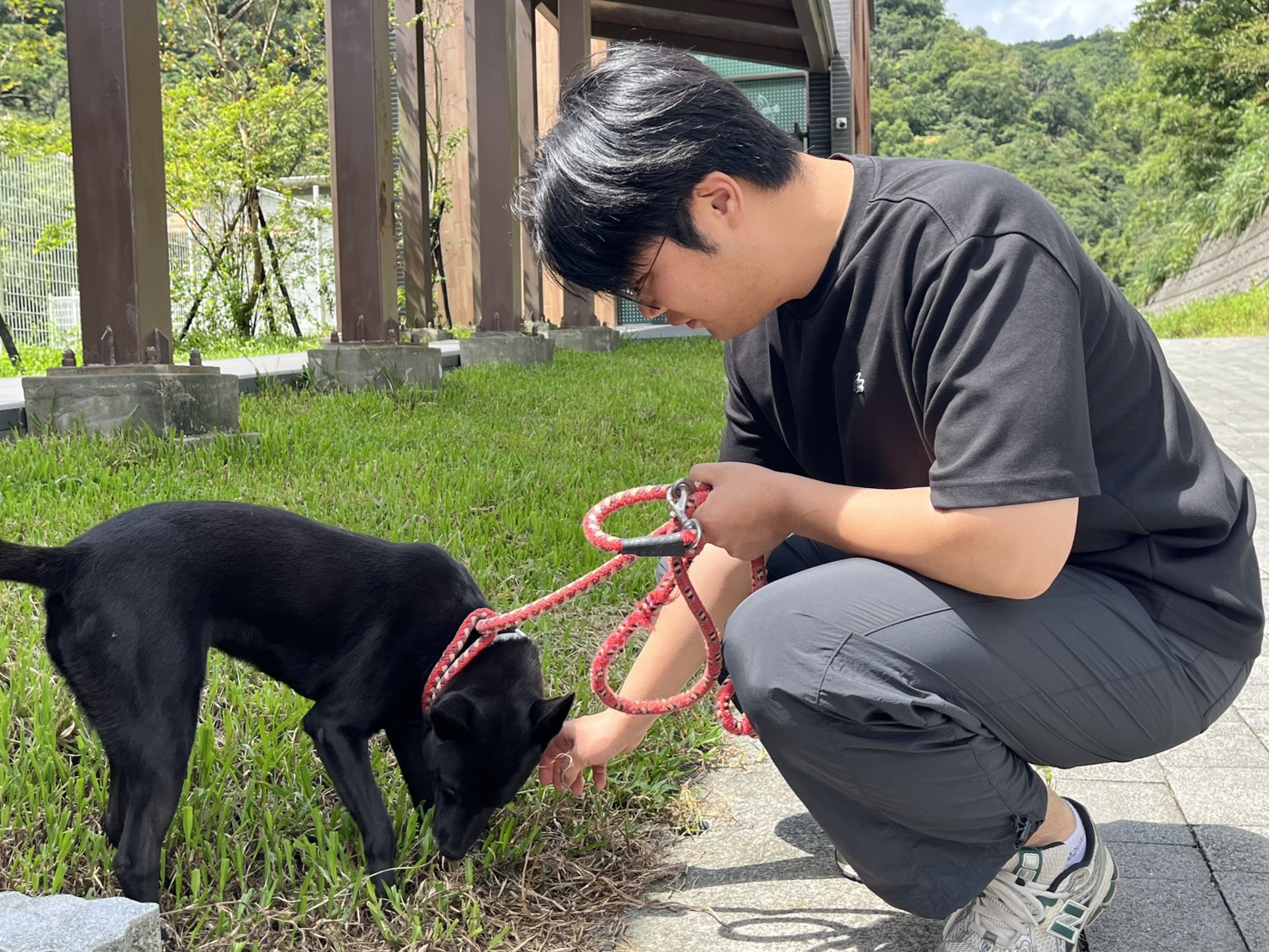 韓國家畜衛生防疫支援本部人員表示，瑞芳動物之家犬隻十分親人。