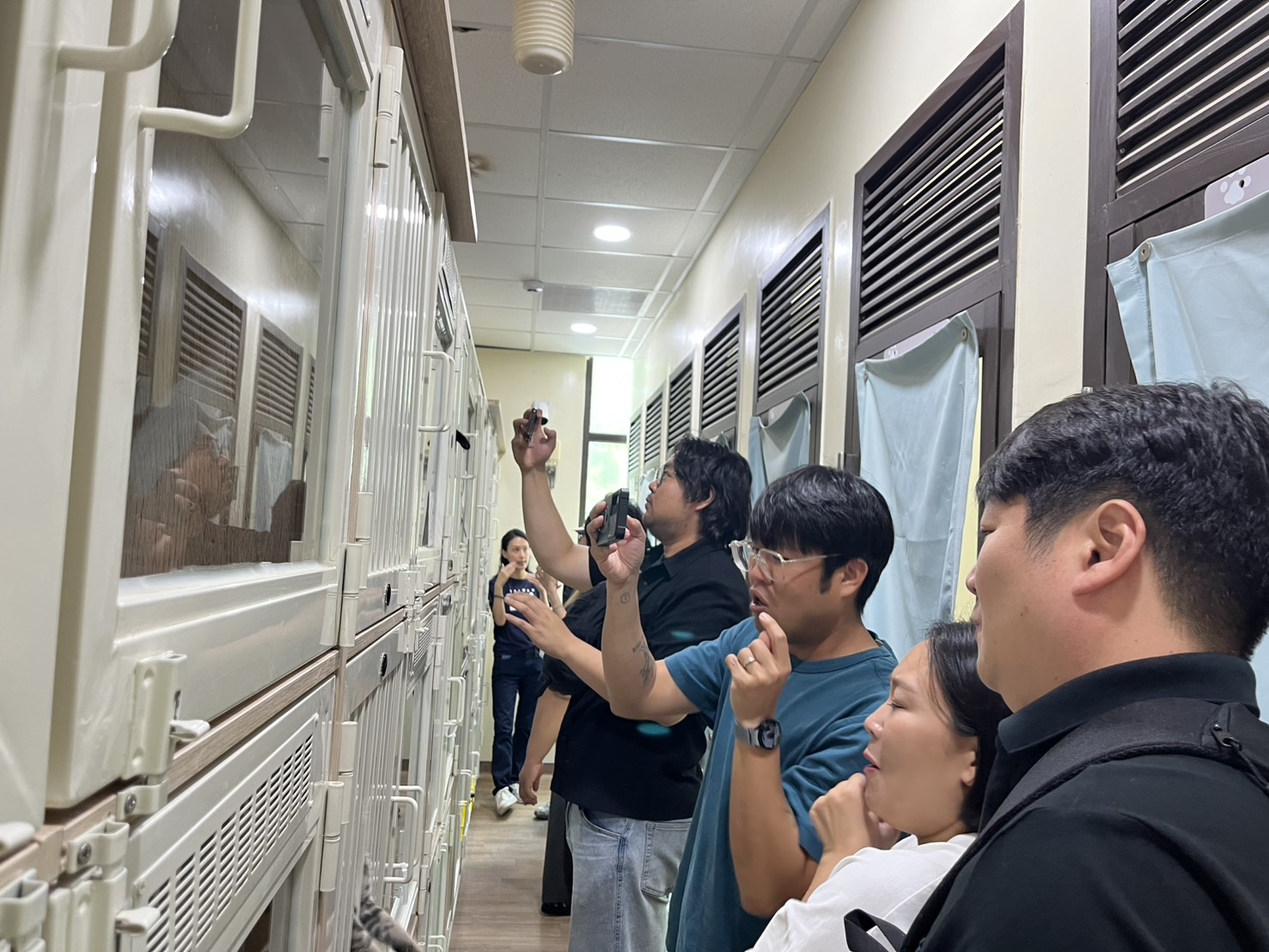 韓國家畜衛生防疫支援本部防疫人員紛紛拿起手機，拍攝貓舍內的可愛貓咪。