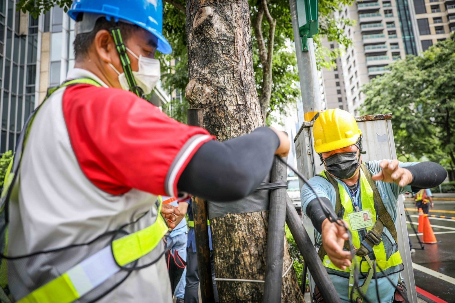 圖2.景觀處協力廠商於防汛期間，進行重要道路路樹巡查並進行支架綁設