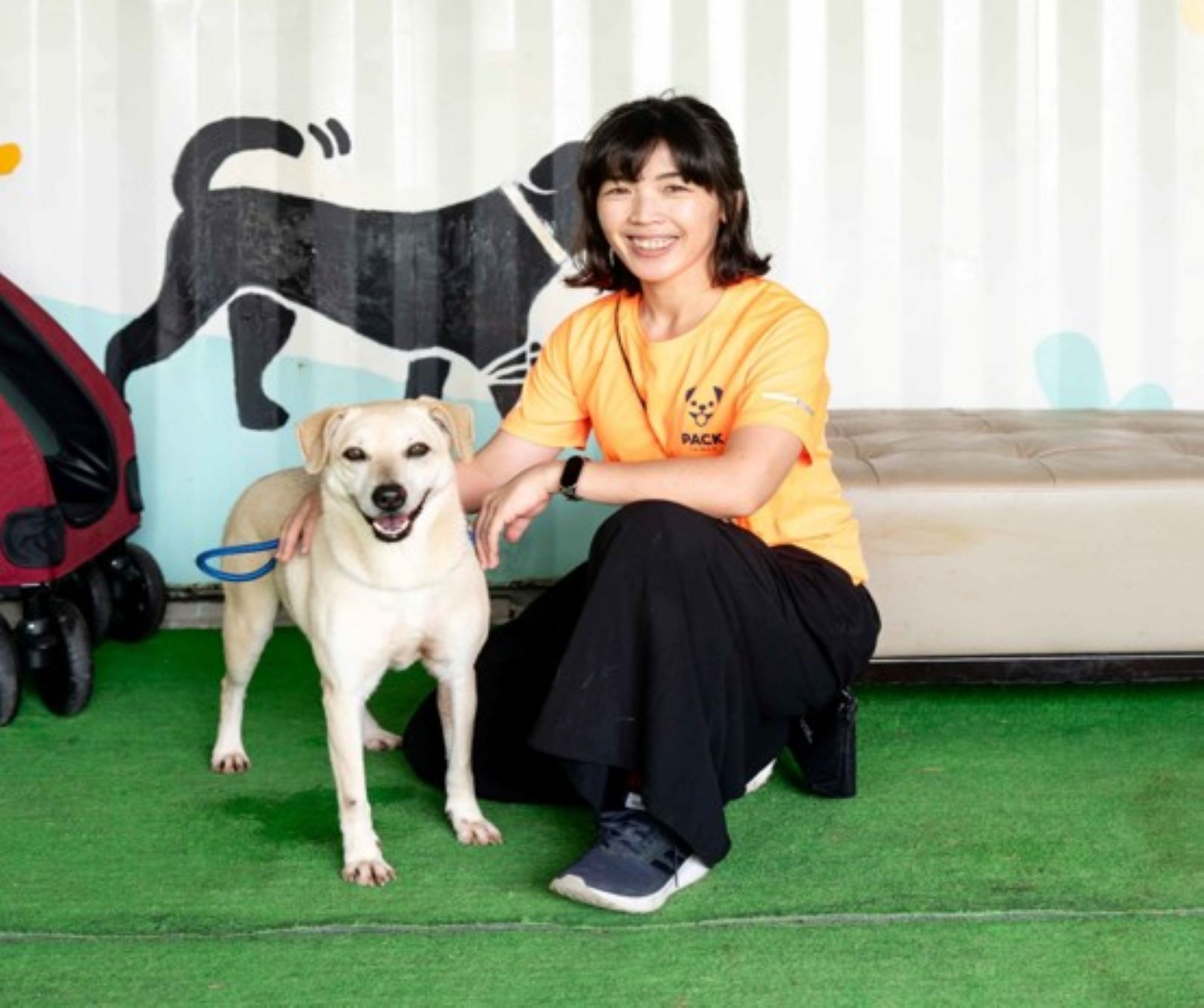  巴克動物動物懷善救援協會積極照護犬隻