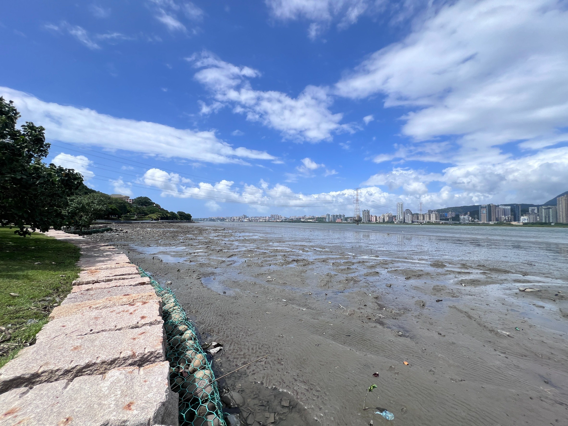  紅樹林皆伐後恢復灘地，減少阻礙水流及泥沙淤積問題