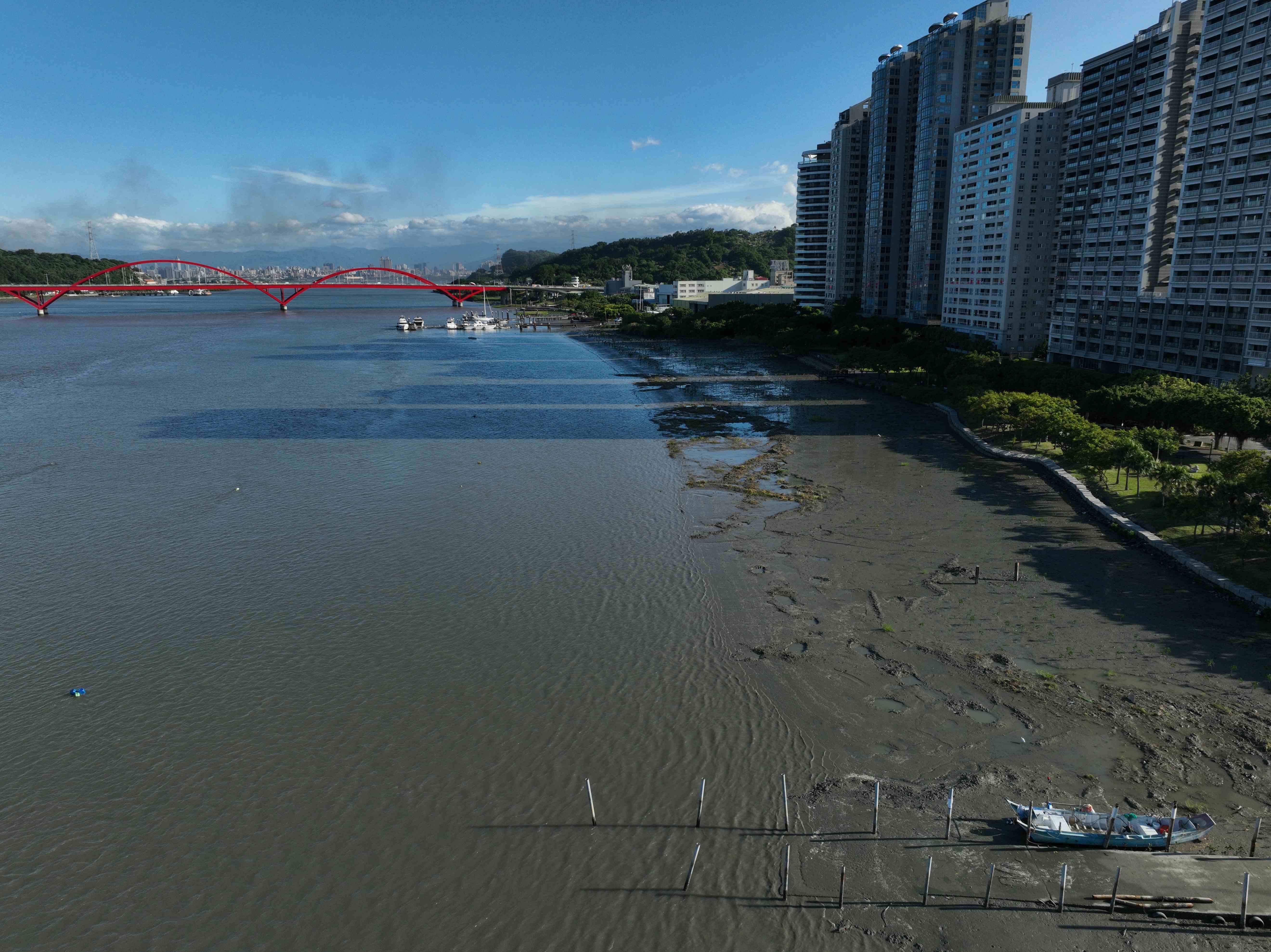  111-114年於八里左岸、淡水右岸 皆伐約12公頃過茂紅樹林