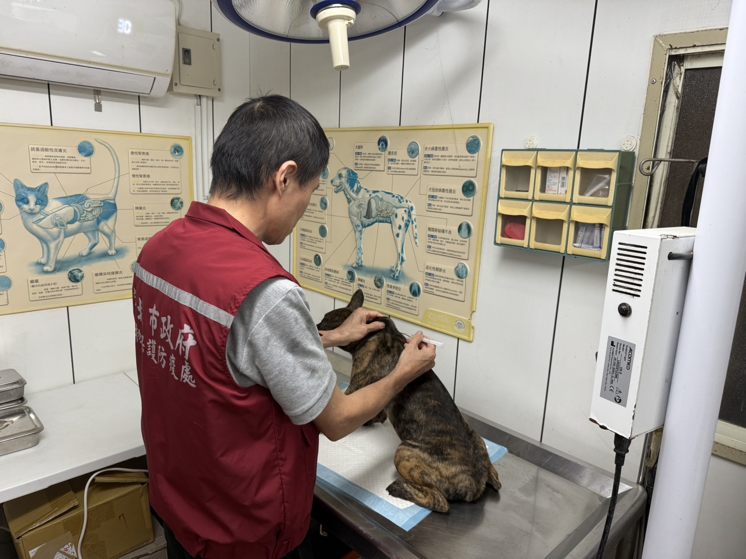 植入晶片並完成寵物登記，則能建立犬隻身分，萬一走失時也能增加尋回機會。