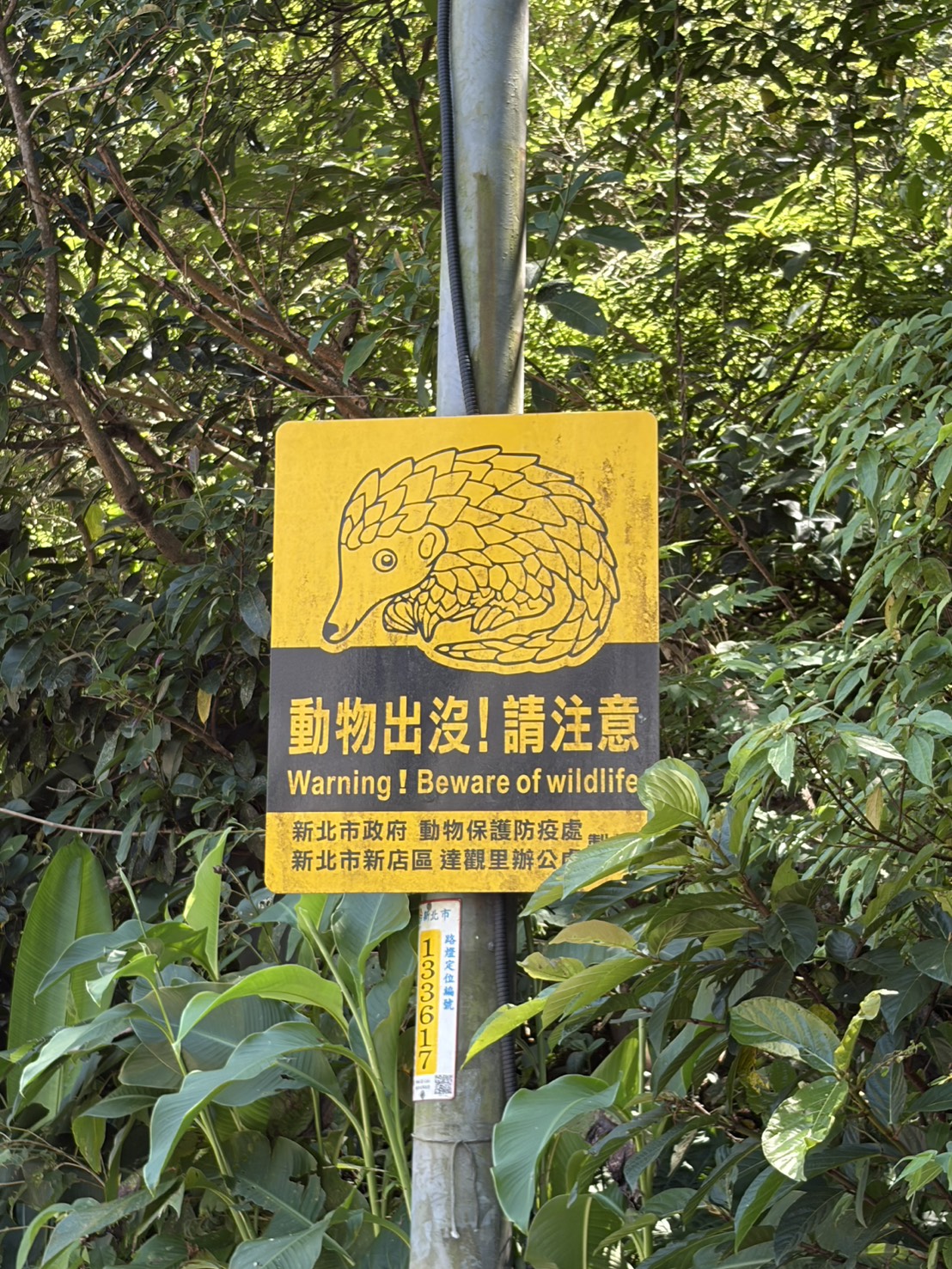 動保處攜手新店達觀里設置動物告示牌。