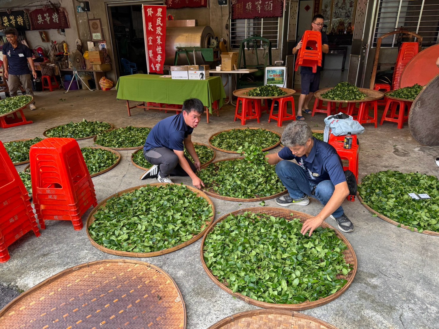 三峽祥興茶行茶農周育成(右)帶領來自阿里山茶區的林尚旻(左)，以1對1指導徒弟製茶，透過2天1夜教學相長的實作交流製茶技藝
