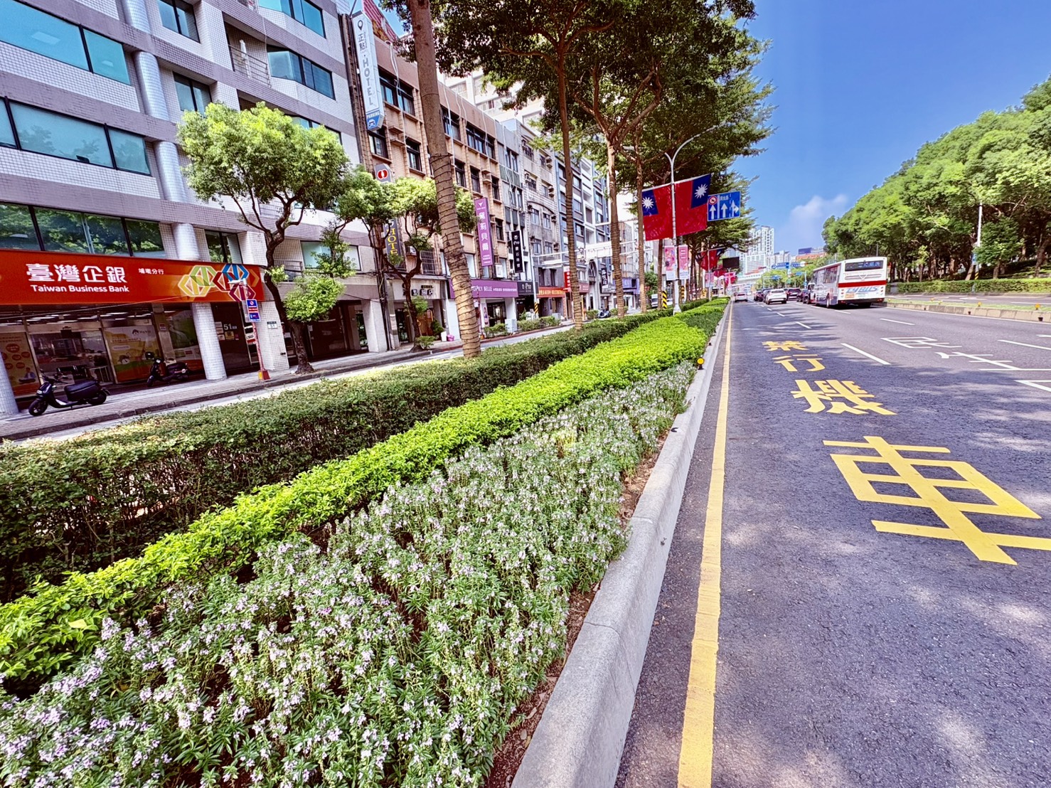  1.文化路草花