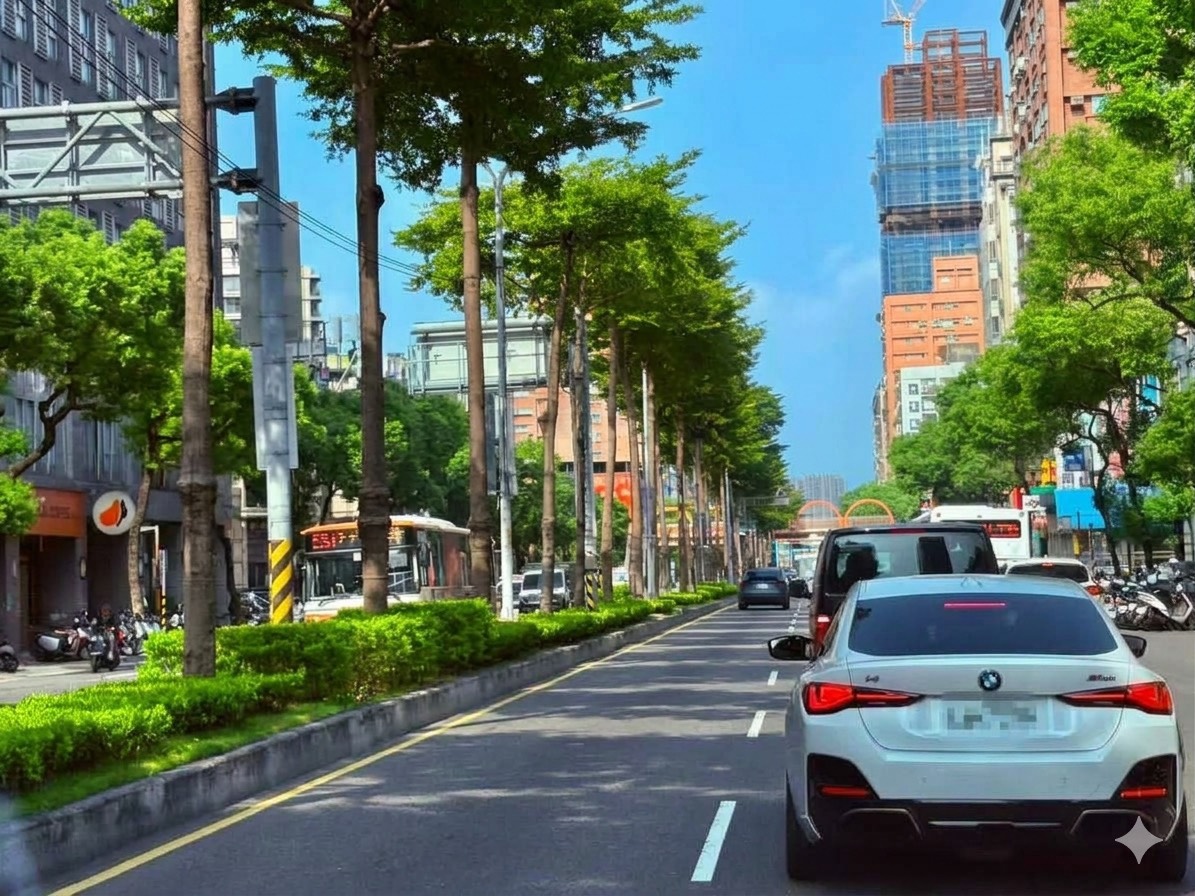  4.文化路修剪